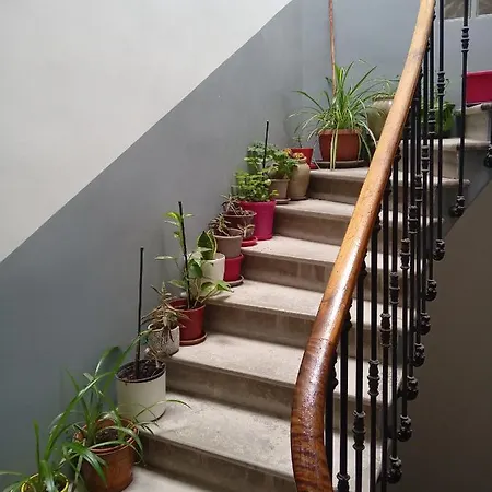 Apartament T2 Neuf Centre